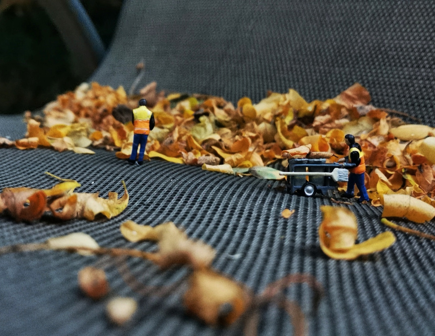 Man swepping the floor full of leaves