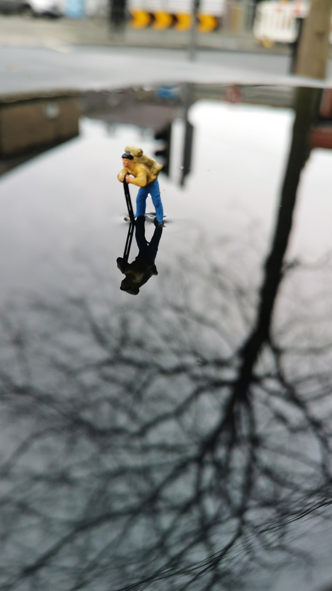 Tree reflection on a water puddle